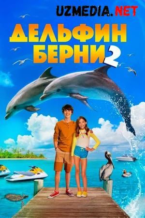 Berniye laqabli Delfin 2 / Delfin Berni 2 Uzbek tilida O'zbekcha tarjima kino 2019 HD tas-ix skachat