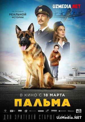 Palma Uzbek tilida O'zbekcha tarjima kino 2021 Full HD tas-ix skachat